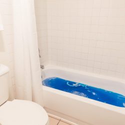Rambler: view of toilet and bathtub with blue bath bomb in it