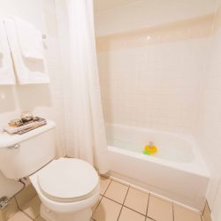 Bathroom toliet and bathtub with floatie drinks in it