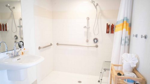 ADA bathroom shower with handle rails